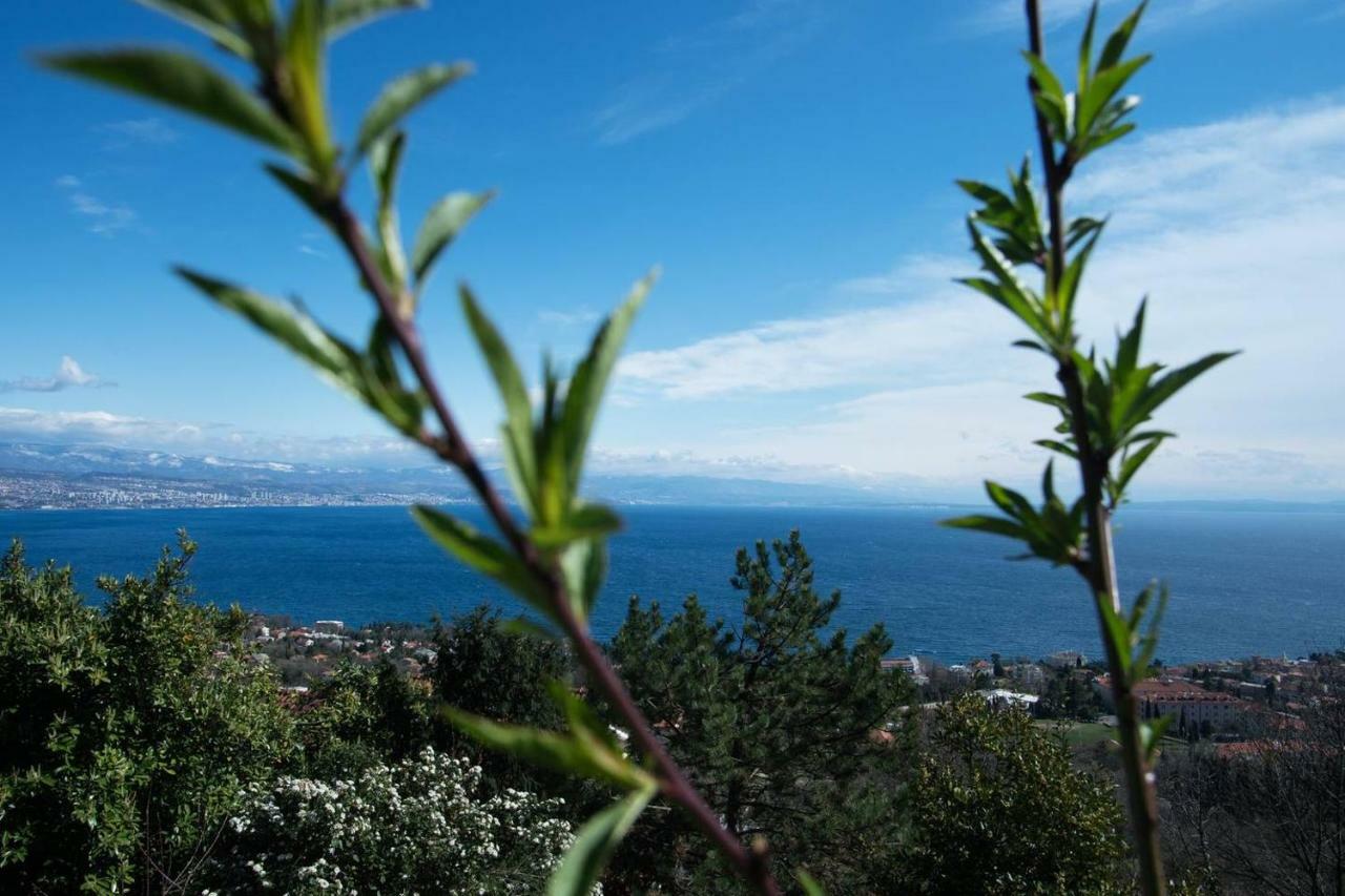 Apartment Cvita - Cozy With An Amazing View *