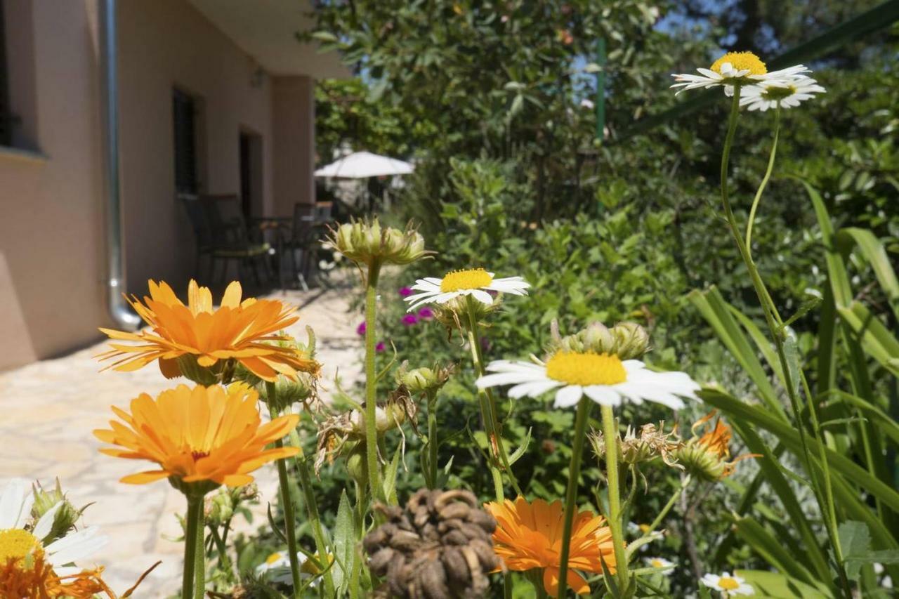 Cvita - Cozy With An Amazing View Apartament Lovran